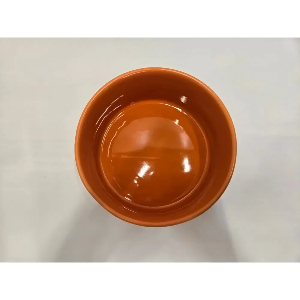 Rae Dunn Lick or Treat Halloween Dog Water Food Bowl Orange Black Pet Dish